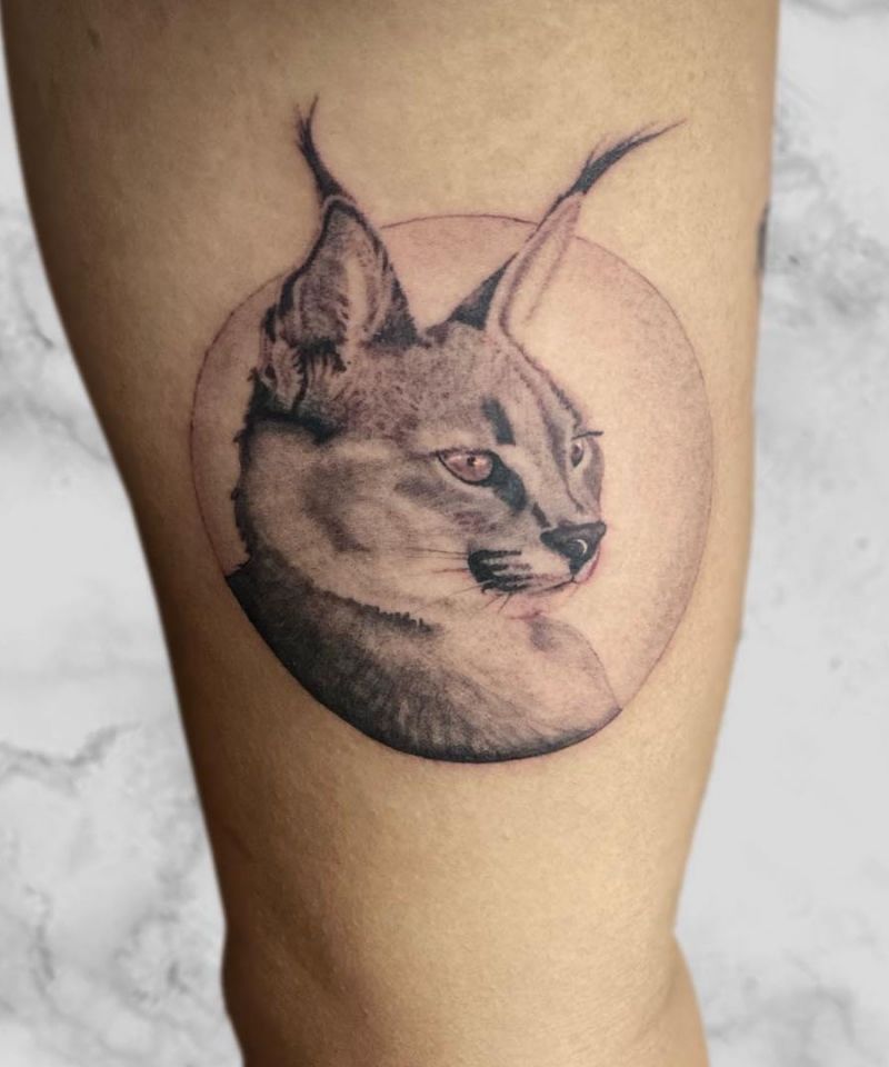 30 Awesome Caracal Tattoos You Can Copy