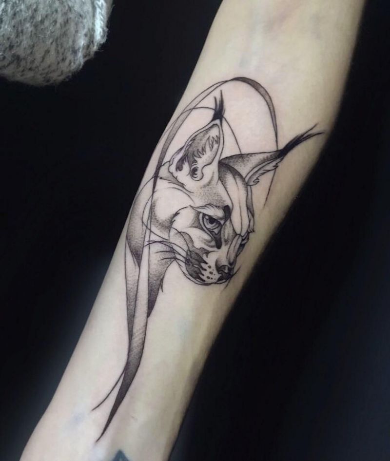 30 Awesome Caracal Tattoos You Can Copy