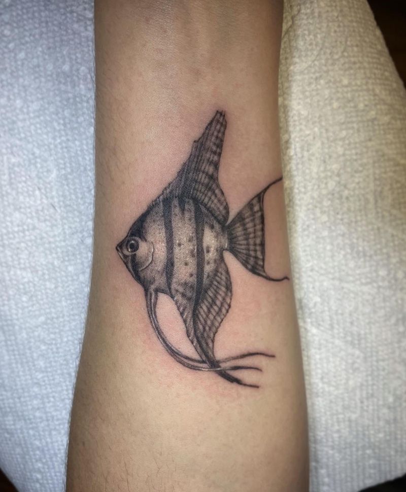 30 Pretty Angelfish Tattoos You Will Love