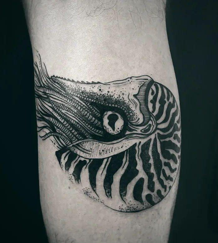 30 Awesome Nautilus Tattoos for Your Next Ink