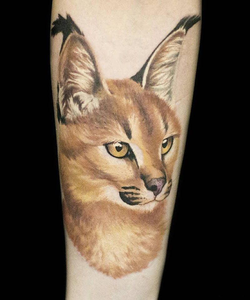 30 Awesome Caracal Tattoos You Can Copy