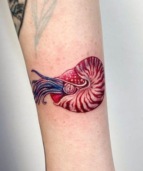 30 Awesome Nautilus Tattoos for Your Next Ink