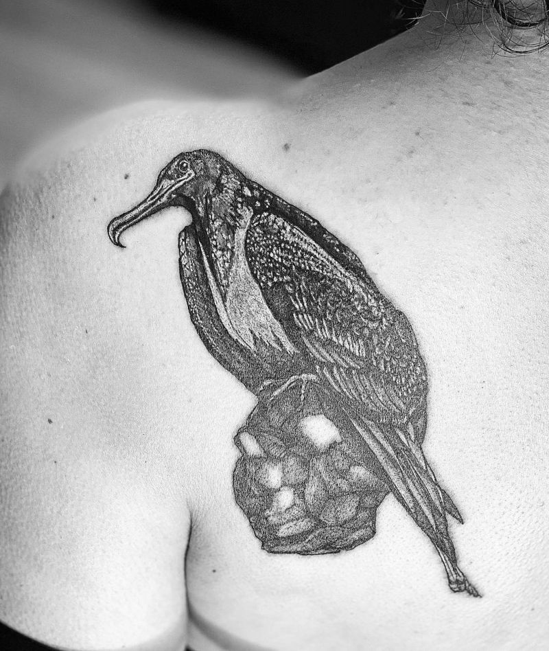 15 Pretty Frigate Bird Tattoos to Inspire You