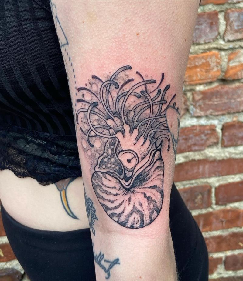 30 Awesome Nautilus Shell Tattoos You Can Copy