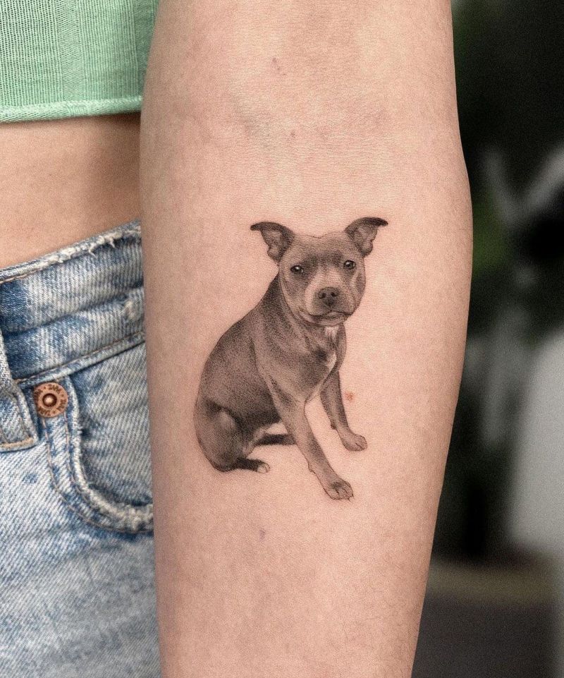 30 Unique Bull Terrier Tattoos You Must Love