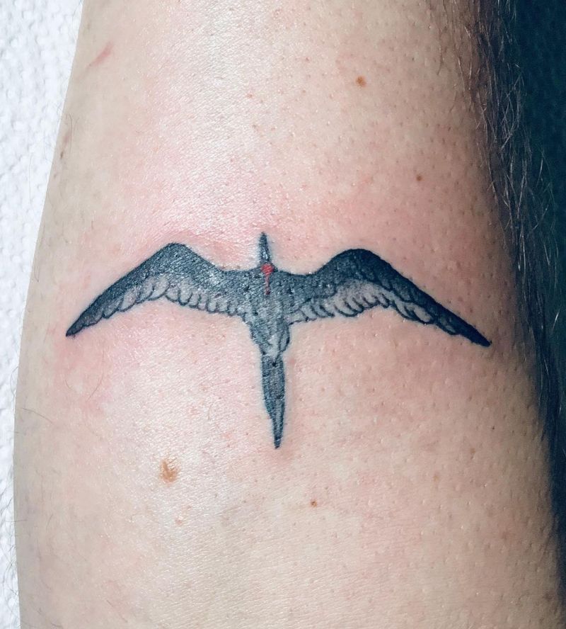 15 Pretty Frigate Bird Tattoos to Inspire You