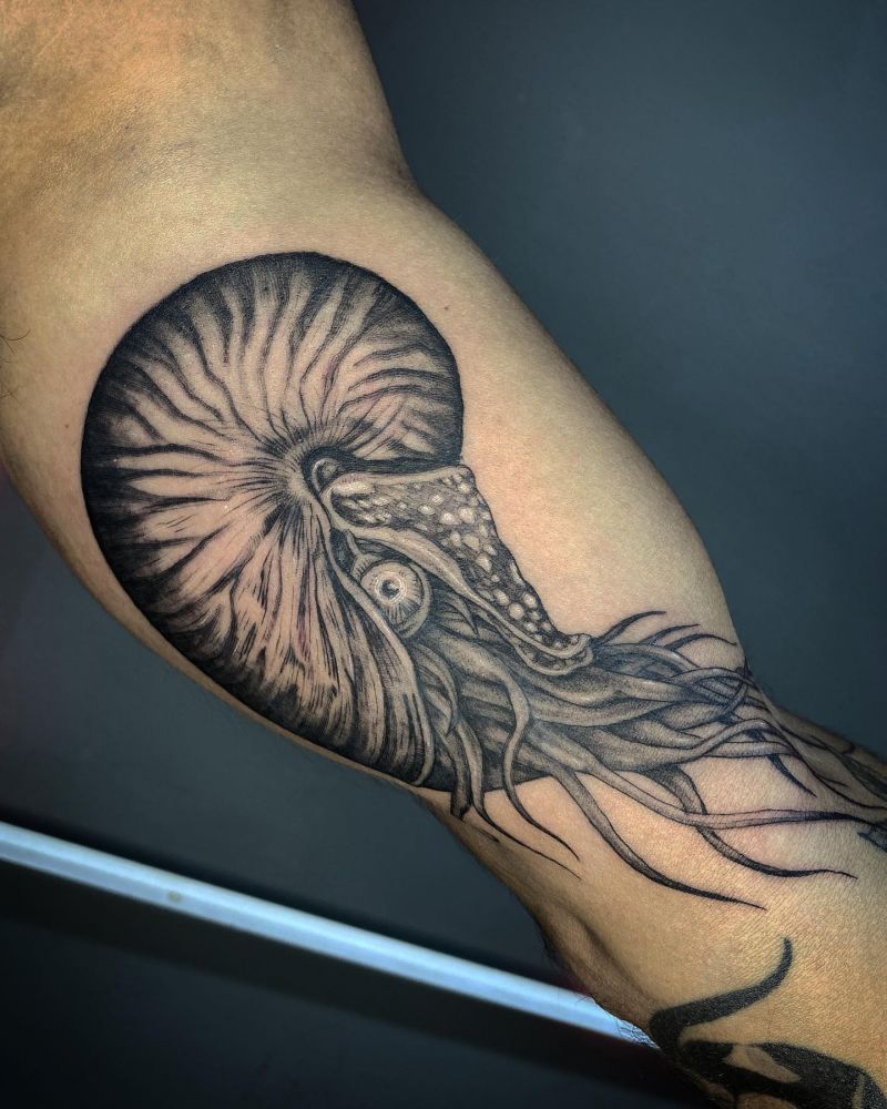 30 Awesome Nautilus Tattoos for Your Next Ink