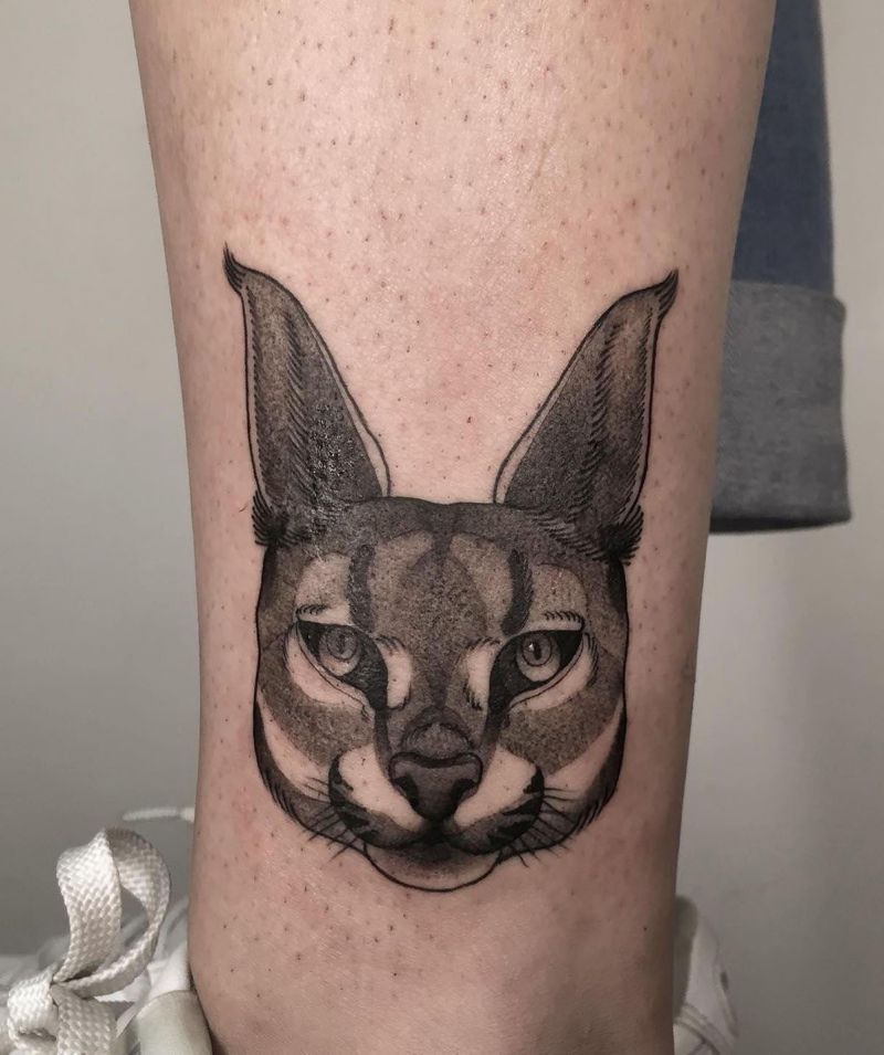 30 Awesome Caracal Tattoos You Can Copy