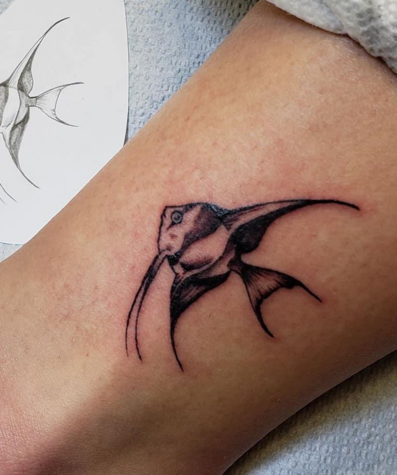 30 Pretty Angelfish Tattoos You Will Love