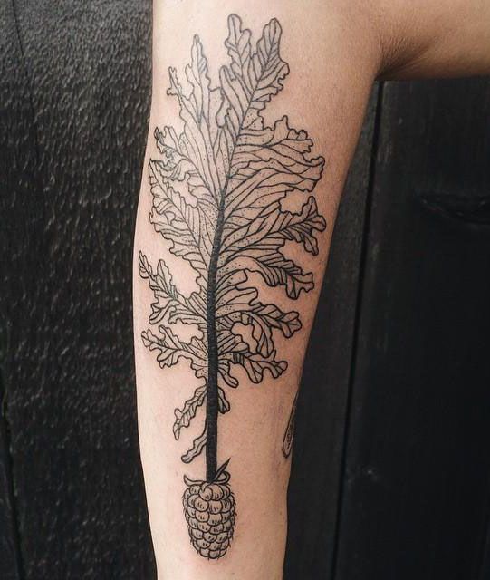 25 Unique Kale Tattoos You Can Copy