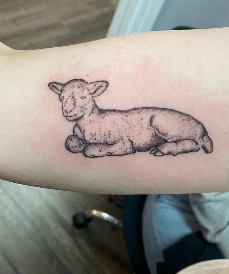 30 Cute Lamb Tattoos You Can Copy