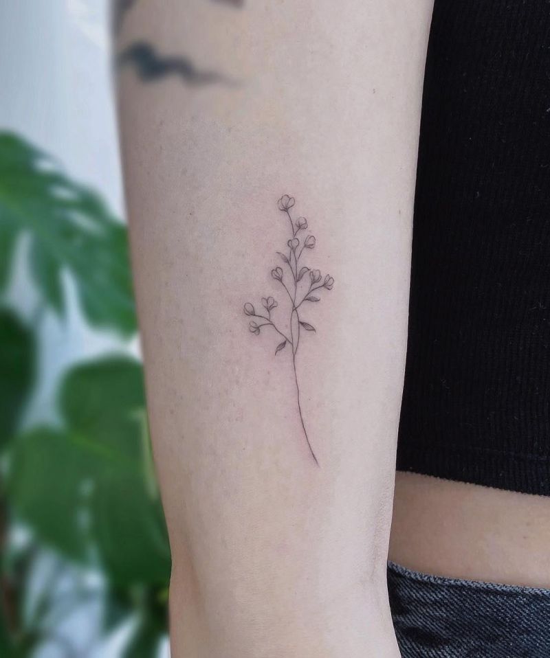 30 Unique Gypsophila Tattoos for Your Inspiration