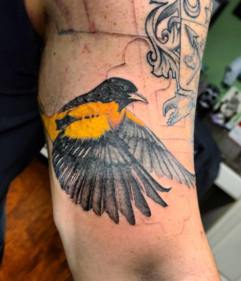 30 Pretty Oriole Tattoos to Inspire You