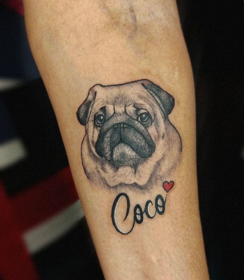 30 Cute Pug Tattoos You Must Love