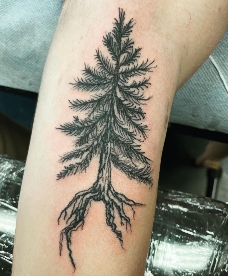 30 Unique Redwood Tattoos for Your Next Ink