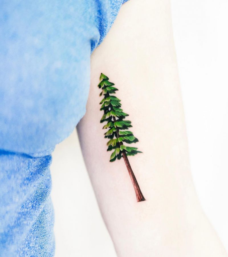 30 Unique Redwood Tattoos for Your Next Ink