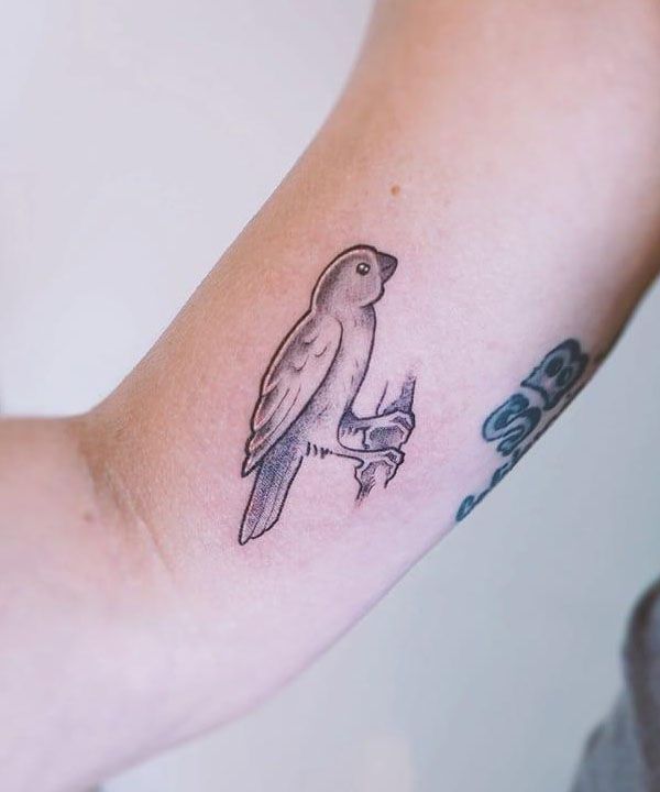 26 Pretty Canary Tattoos You Must Love