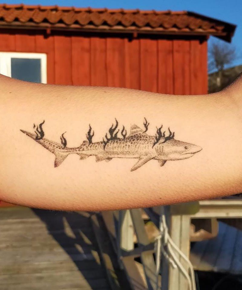 30 Unique Tiger Shark Tattoos You Must Love