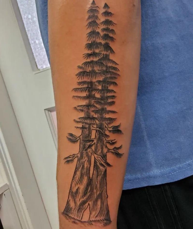 30 Unique Redwood Tattoos for Your Next Ink