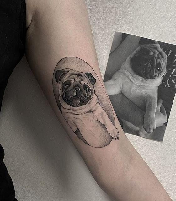 30 Cute Pug Tattoos You Must Love