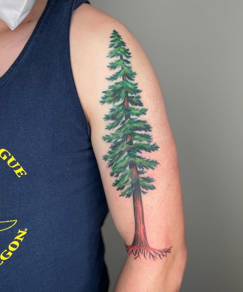 30 Unique Redwood Tattoos for Your Next Ink