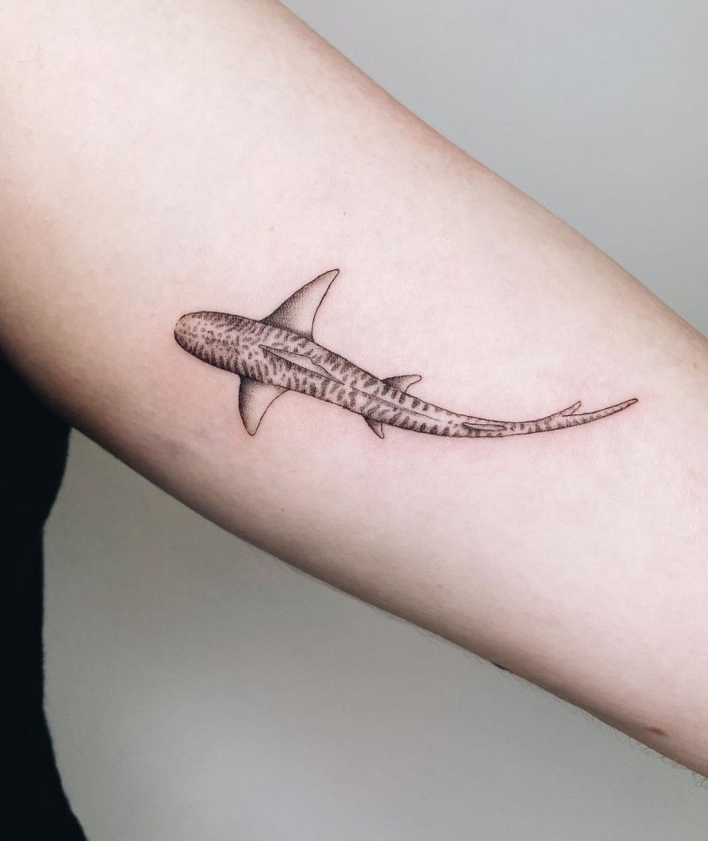30 Unique Tiger Shark Tattoos You Must Love