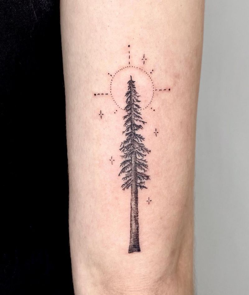 30 Unique Redwood Tattoos for Your Next Ink