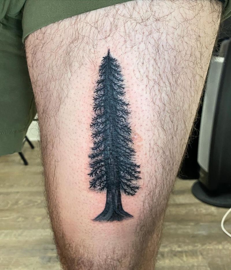 30 Unique Redwood Tattoos for Your Next Ink
