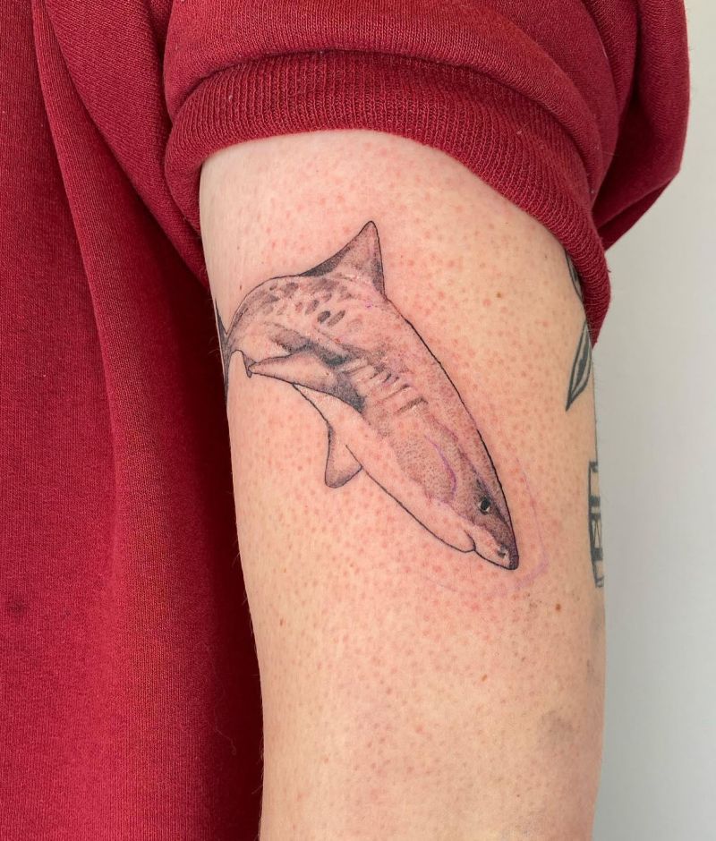 30 Unique Tiger Shark Tattoos You Must Love