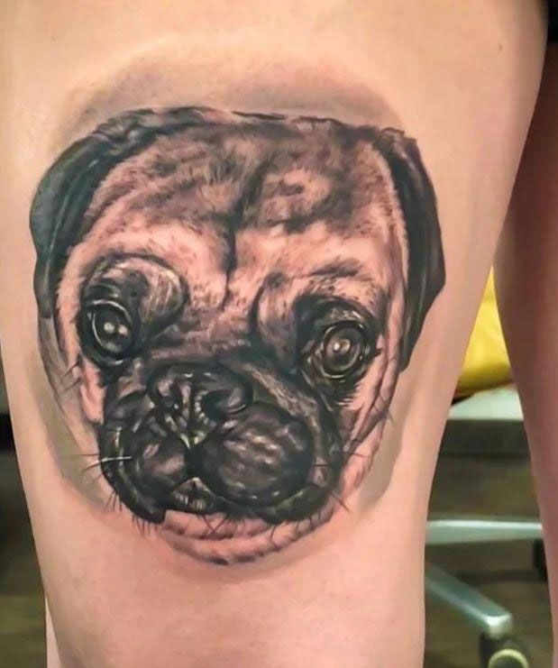 30 Cute Pug Tattoos You Must Love