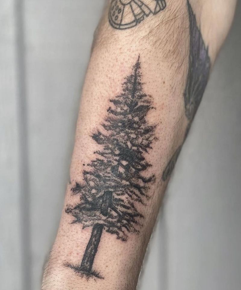 30 Unique Redwood Tattoos for Your Next Ink