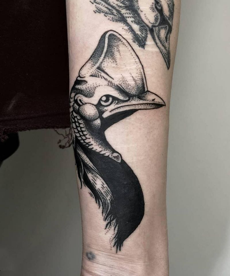 30 Unique Cassowary Tattoos You Must Love