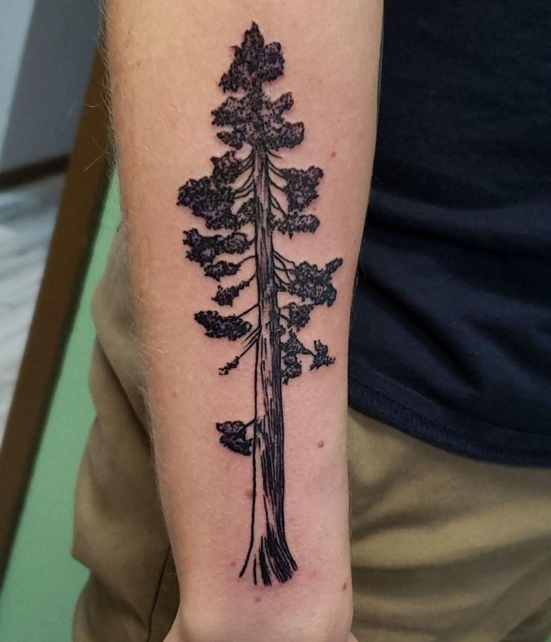 30 Unique Redwood Tattoos for Your Next Ink