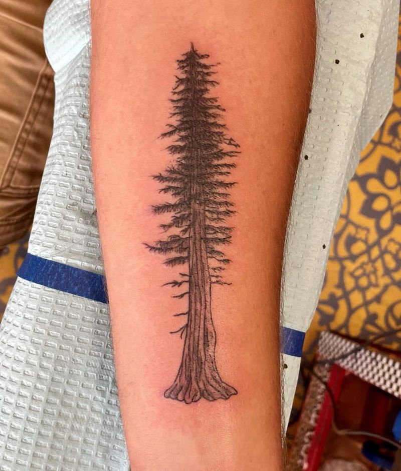 30 Unique Redwood Tattoos for Your Next Ink