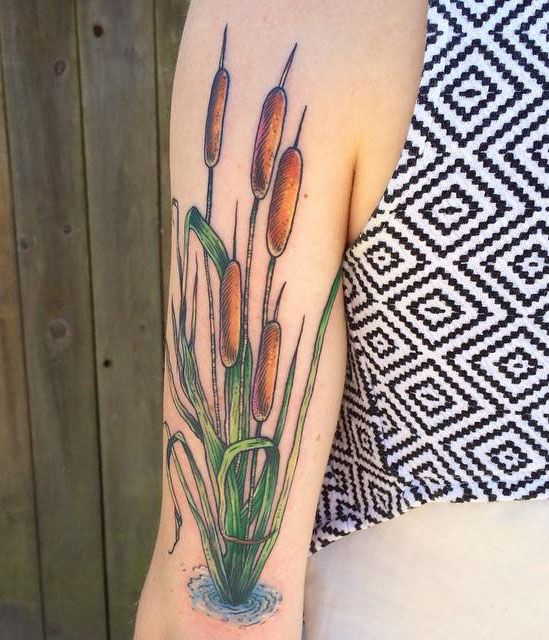 30 Pretty Cattail Tattoos For Your Next Ink