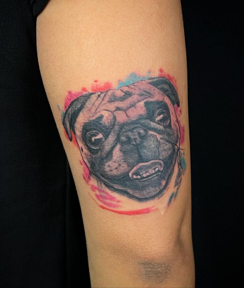 30 Cute Pug Tattoos You Must Love