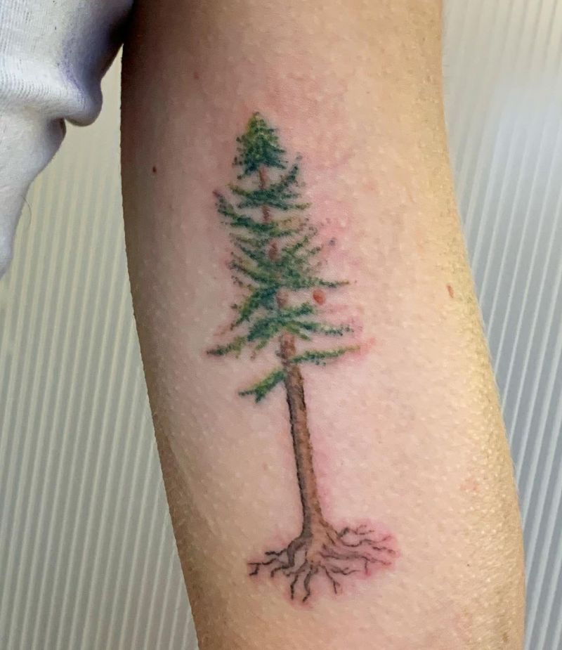 30 Unique Redwood Tattoos for Your Next Ink