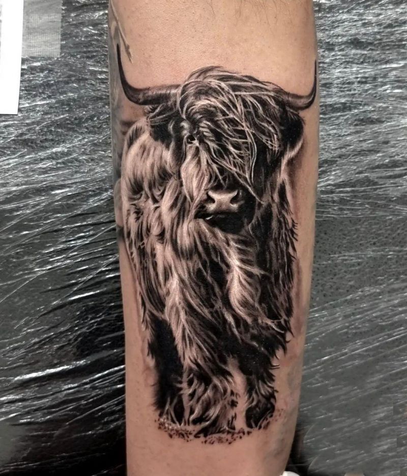 30 Classy Highland Cow Tattoos For Your Next Ink