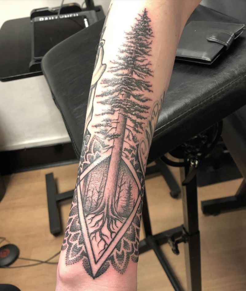 30 Unique Redwood Tattoos for Your Next Ink