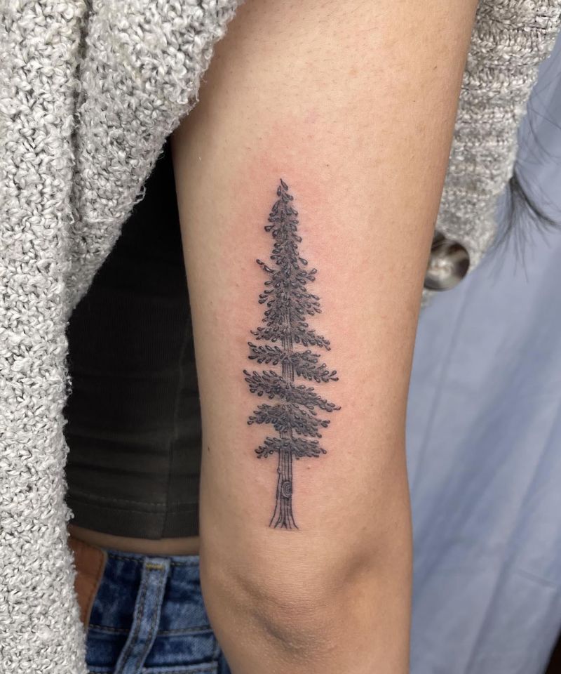 30 Unique Redwood Tattoos for Your Next Ink