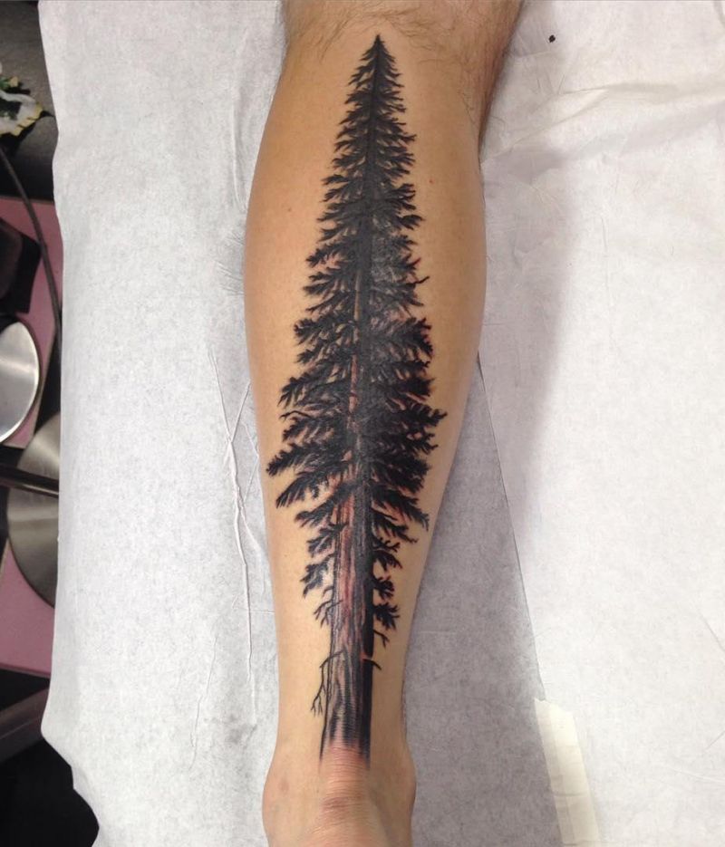 30 Great Sequoia Tree Tattoos to Inspire You