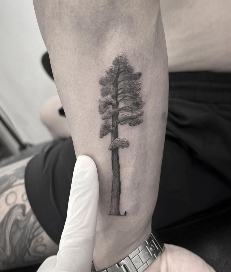 30 Great Sequoia Tree Tattoos to Inspire You