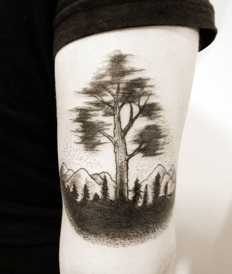 30 Great Sequoia Tree Tattoos to Inspire You