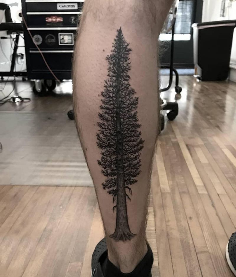 30 Great Sequoia Tree Tattoos to Inspire You