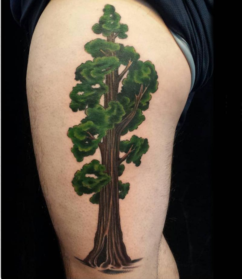 30 Great Sequoia Tree Tattoos to Inspire You