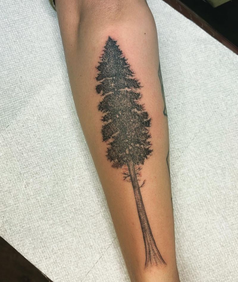 30 Great Sequoia Tree Tattoos to Inspire You