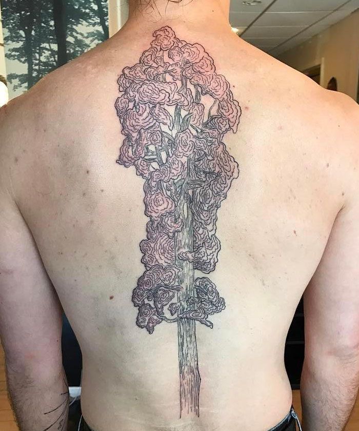 30 Great Sequoia Tree Tattoos to Inspire You