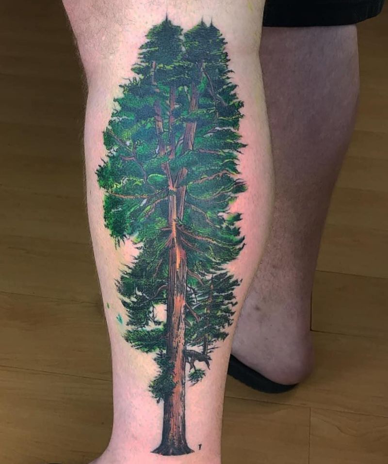 30 Great Sequoia Tree Tattoos to Inspire You