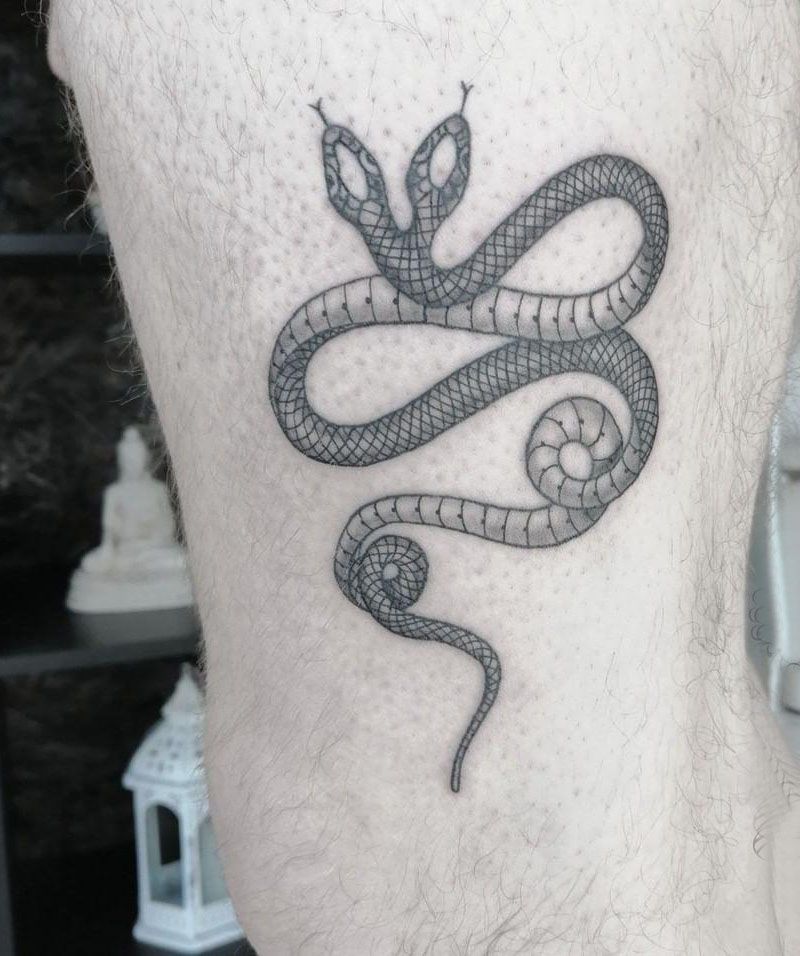 30 Two Headed Snake Tattoos for Your Inspiration