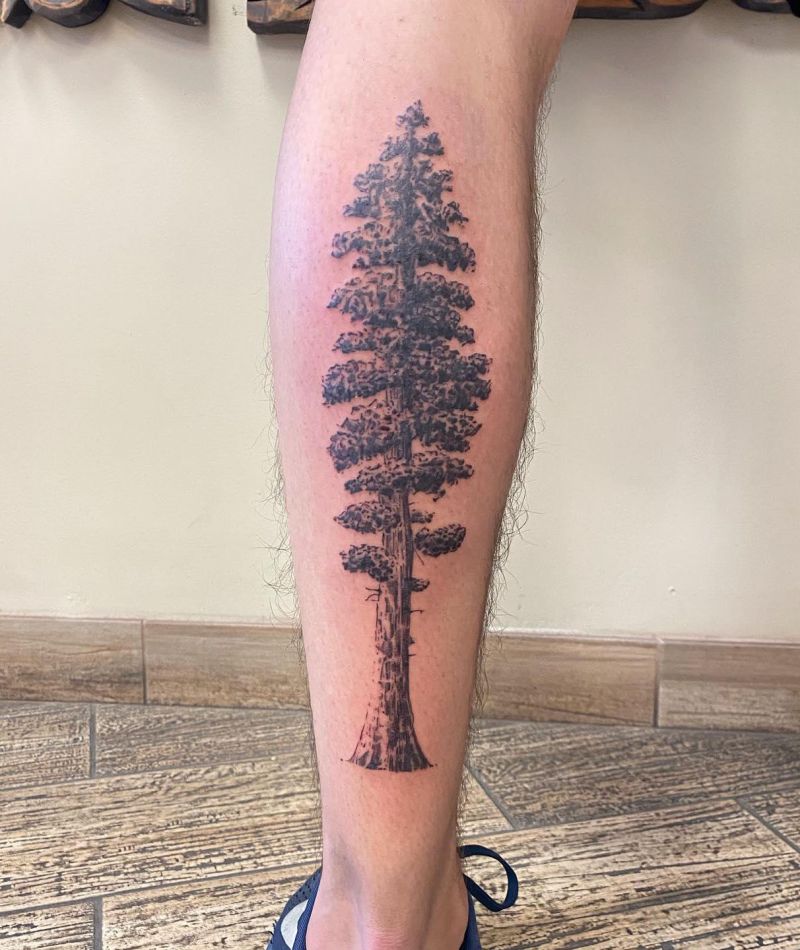 30 Great Sequoia Tree Tattoos to Inspire You